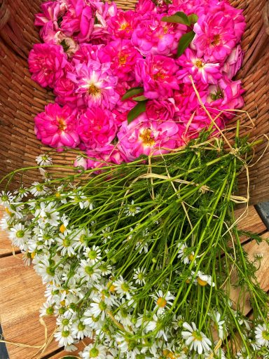 ein Korb mit Rosen und Kamillenblüten