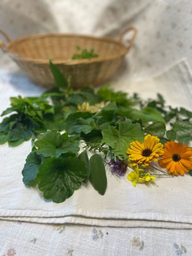 grüne Wildkrautblätter und Blüten