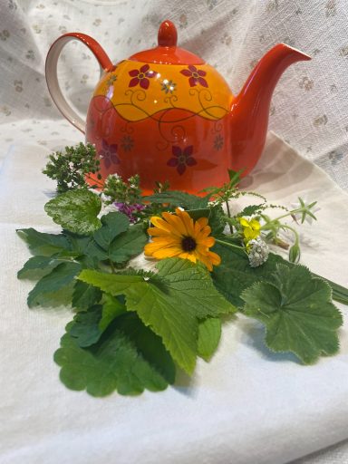 Kräutertee Rotte Teekanne mit buntem Blumenmuster, umgeben von frischen Kräutern und Blumen.